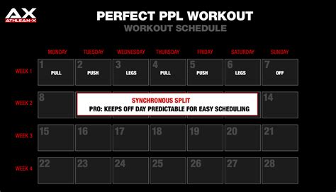Push Pull Legs Routine - Pros and Cons (FULL BREAKDOWN) ATHLEAN-X601K . . Athlean x ppl program